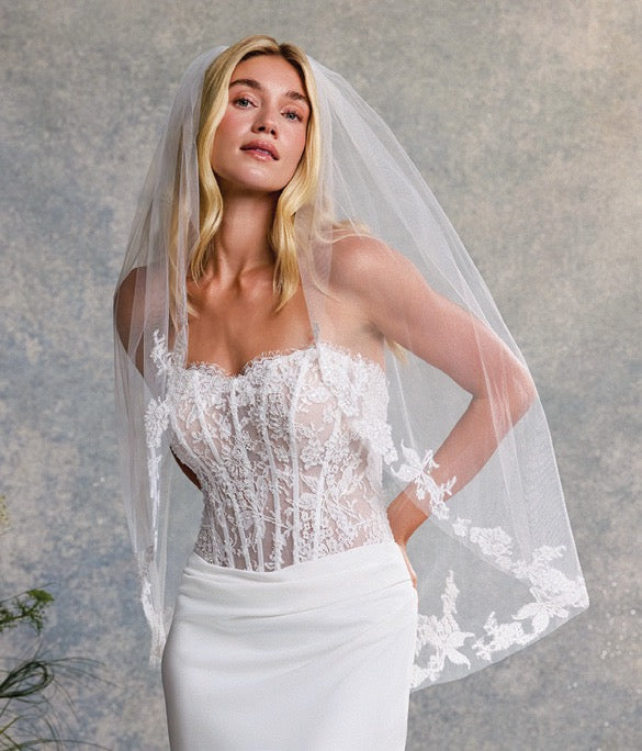 Amaryllis | Beloved by Casablanca BL533